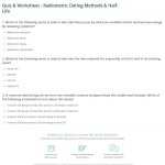 30 Half Life Worksheet Answers | Education Template Regarding Half Life Worksheet Answers