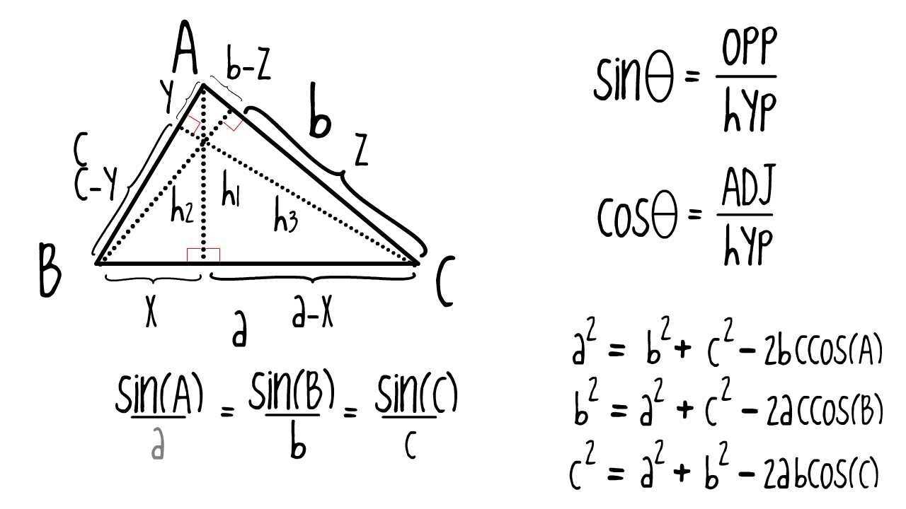 30 Law Of Sines Worksheet Answers | Education Template Pertaining To Law Of Sines Worksheet Answers