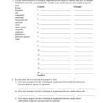 30 Levels Of Organization Worksheet | Education Template Pertaining To Level Of Organization Worksheet