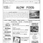 30 Levels Of Organization Worksheet | Education Template Throughout Level Of Organization Worksheet