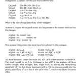 30 Mutations Worksheet Answer Key | Education Template With Genetic Mutations Worksheet Answer Key