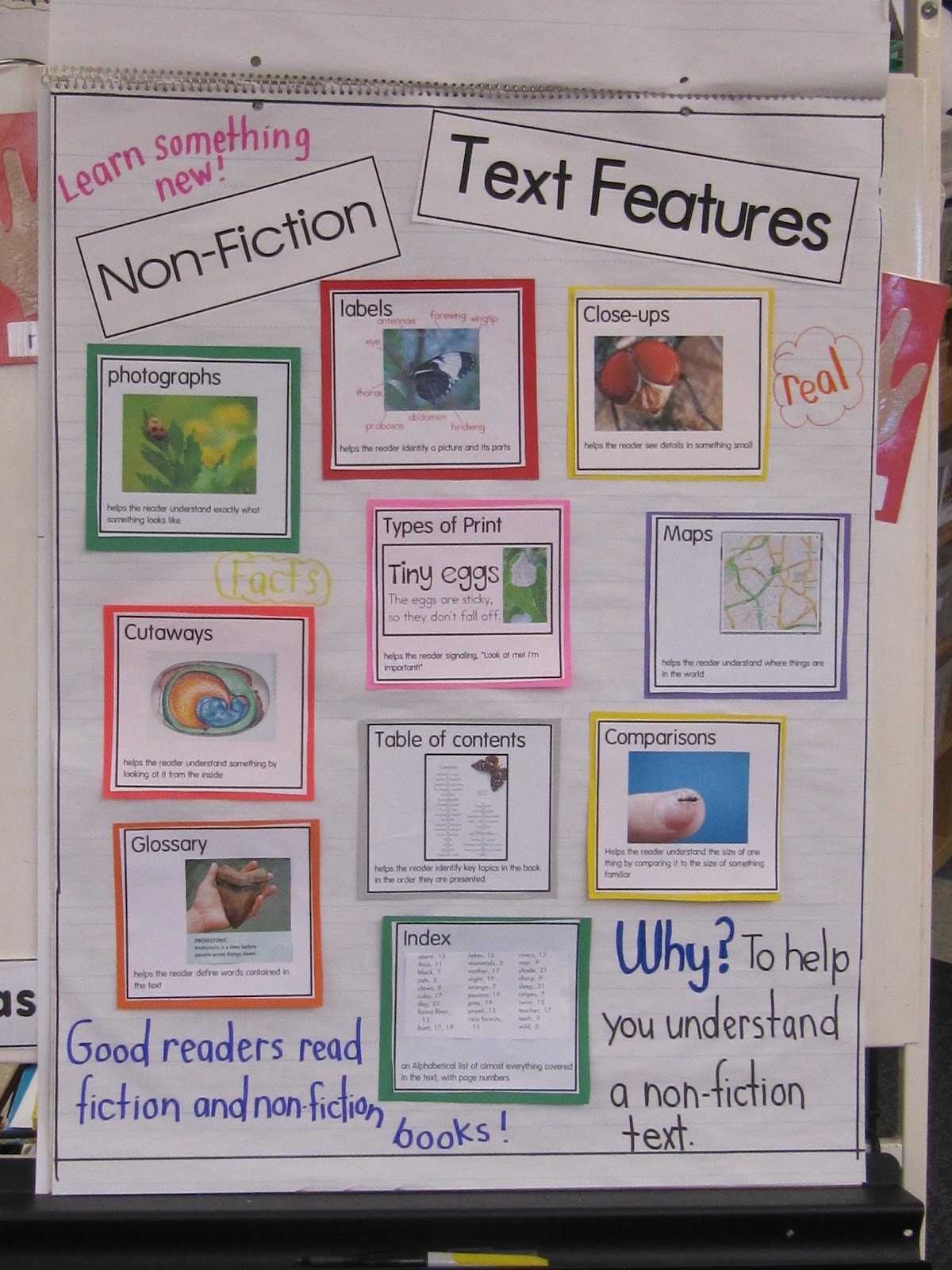 30 Nonfiction Text Features Worksheet | Education Template Throughout Text Features Worksheet 2Nd Grade