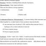 30 Nuclear Chemistry Worksheet K | Education Template With Regard To Nuclear Chemistry Worksheet K