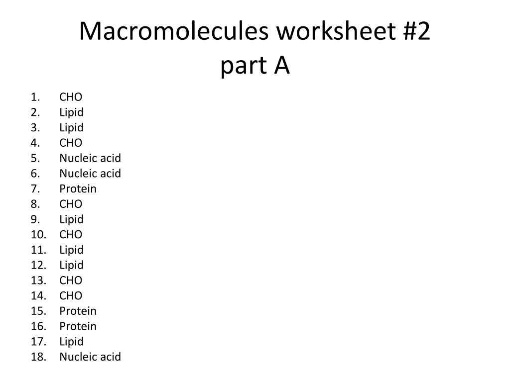 30 Nucleic Acids Worksheet Answers | Education Template for Nucleic Acid Worksheet Answers