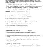 30 Photosynthesis And Respiration Worksheet Answers | Education Template Within Photosynthesis And Respiration Worksheet Answers