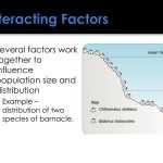30 Population Ecology Graphs Worksheet Answers | Education Template With Population Ecology Graphs Worksheet Answers