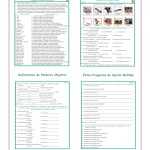 30 Possessive Adjectives Spanish Worksheet | Education Template For Possessive Adjective Spanish Worksheet