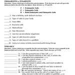 30 Prokaryote Vs Eukaryote Worksheet | Education Template Inside Prokaryote Vs Eukaryote Worksheet