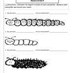 30 Reading A Ruler Worksheet Pdf | Education Template Regarding Reading A Ruler Worksheet Pdf