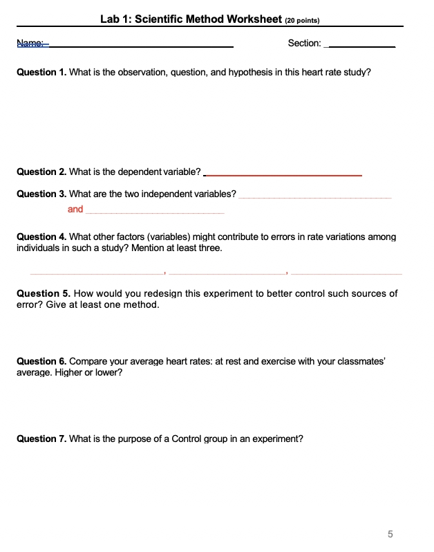 30 Scientific Methods Worksheet 1 Graphing Practice - Support Worksheet In Scientific Method Practice Worksheet