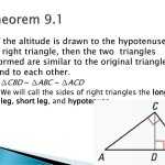 30 Similar Right Triangles Worksheet | Education Template Intended For Similar Right Triangles Worksheet