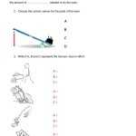 30 Simple Machines Worksheet Pdf | Education Template Within Simple Machines Worksheet Pdf