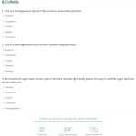 30 Solutions Colloids And Suspensions Worksheet | Education Template throughout Solutions Colloids And Suspensions Worksheet