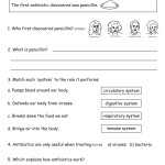 30 Viruses And Bacteria Worksheet | Education Template regarding Viruses And Bacteria Worksheet