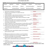 31 Transport Across Cell Membrane Worksheet Answers – Support Worksheet Within Cellular Transport Worksheet Answer Key