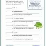 32 Fragments And Run On Sentences Worksheet – Support Worksheet With Regard To Sentence Or Fragment Worksheet