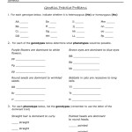 33 Genetics Practice Problems Worksheet Answers – Worksheet Info 2021 Pertaining To Genetics Practice Problems Simple Worksheet