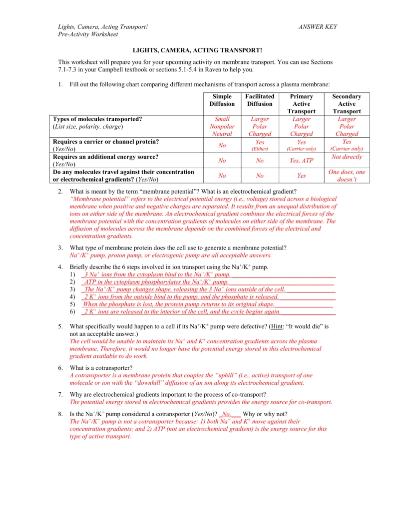 34 73 Cell Transport Worksheet Answers - Notutahituq Worksheet Information In Transport In Cells Worksheet Answers