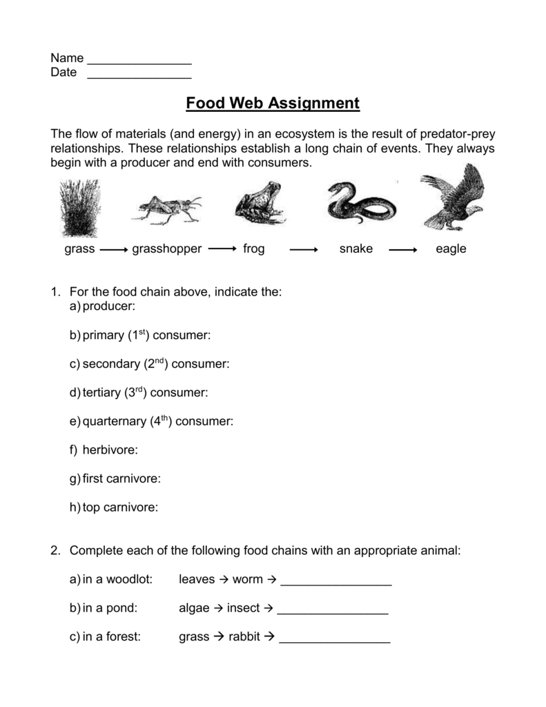 34 Food Web Worksheet Answers - Notutahituq Worksheet Information inside Food Web Worksheet Answers