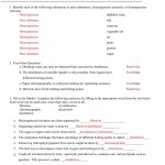 34 Separation Of Mixtures Worksheet – Support Worksheet Within Mixture Word Problems Worksheet