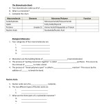 38 Biological Molecules Worksheet Answer Key – Worksheet Works Intended For Building Macromolecules Worksheet Answers