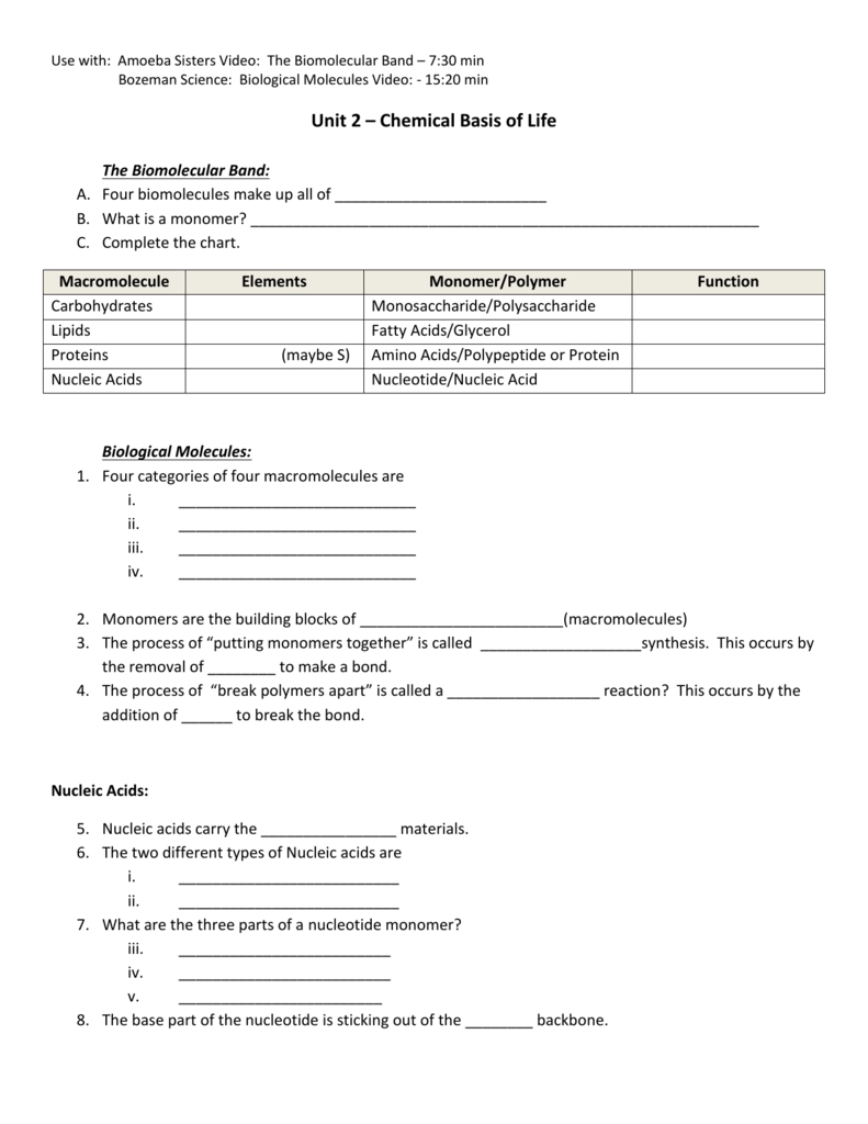 38 Biological Molecules Worksheet Answer Key - Worksheet Works Intended For Building Macromolecules Worksheet Answers