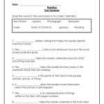 38 Text Features Worksheet 3Rd Grade - Worksheet Source 2021 inside Text Features Worksheet 3rd Grade
