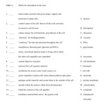 39 Cell Organelles And Their Functions Worksheet Answers – Worksheet Online Within Cells And Organelles Worksheet