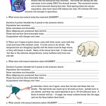 39 Darwin Natural Selection Worksheet – Worksheet Master With Darwin's Natural Selection Worksheet