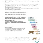 39 Domains And Kingdoms Worksheet Answers – Worksheet Was Here With Domains And Kingdoms Worksheet