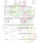 39 Genetics Practice Problems Worksheet – Combining Like Terms Worksheet Regarding Genetics Practice Problems Simple Worksheet