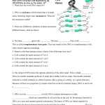 40 Dna The Double Helix Worksheet Answers - Worksheet Database within Dna Base Pairing Worksheet Answers