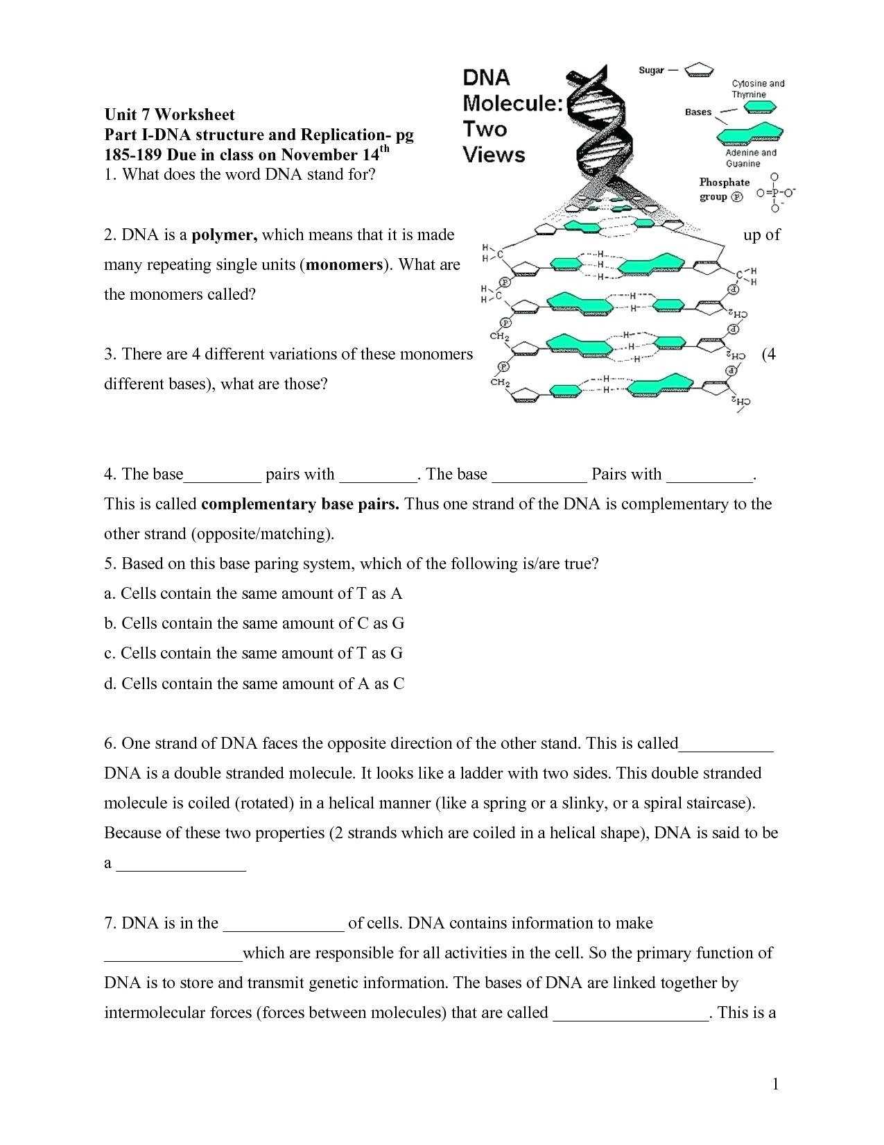 40 Dna The Double Helix Worksheet Answers - Worksheet Database within Dna Base Pairing Worksheet Answers