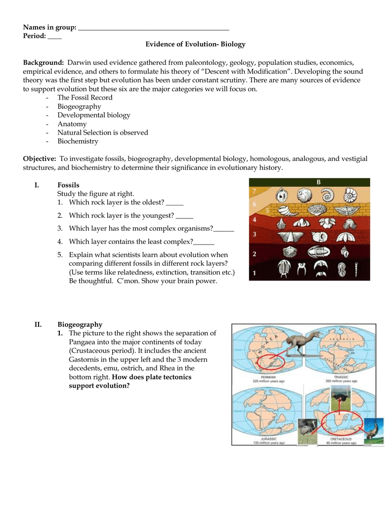 40 Evidence For Evolution Worksheet - Combining Like Terms Worksheet with Evidence Of Evolution Worksheet