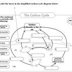41 Carbon Cycle Worksheet Pdf – Combining Like Terms Worksheet Regarding Carbon Cycle Diagram Worksheet