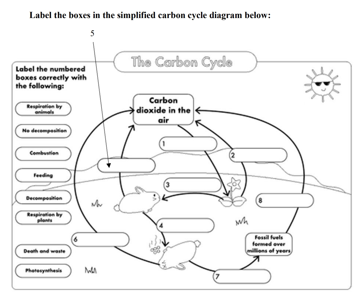 41 Carbon Cycle Worksheet Pdf - Combining Like Terms Worksheet Regarding Carbon Cycle Diagram Worksheet