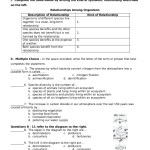 43 Symbiotic Relationships Worksheet Answers – Top Educational Blog Within Symbiotic Relationships Worksheet Good Buddies