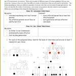 5 Human Pedigrees Worksheet Answers | Fabtemplatez In Genetics Pedigree Worksheet Answers