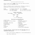 50 Biological Classification Worksheet Answers | Chessmuseum Template regarding Biological Classification Worksheet Answers
