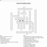 50 Biological Molecules Worksheet Answers | Chessmuseum Template Library for Biological Molecules Worksheet Answers