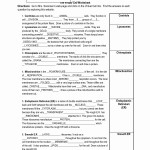 50 Cell Organelles Worksheet Answers | Chessmuseum Template Library Pertaining To Cell Organelles Worksheet Answers