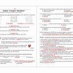 50 Cell Transport Review Worksheet Answers | Chessmuseum Template Library Inside Transport In Cells Worksheet Answers