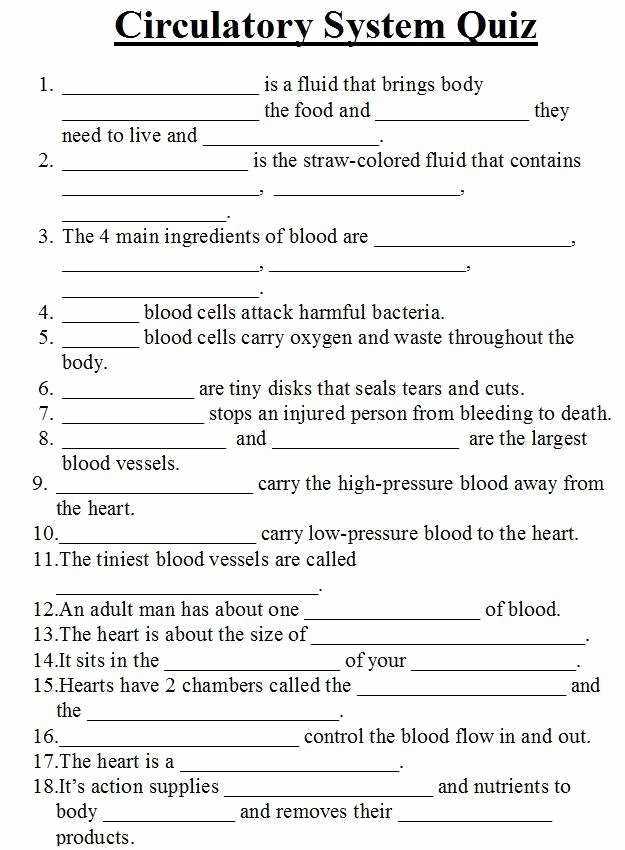50 Circulatory System Worksheet Answers | Chessmuseum Template Library throughout Circulatory System Worksheet Answers