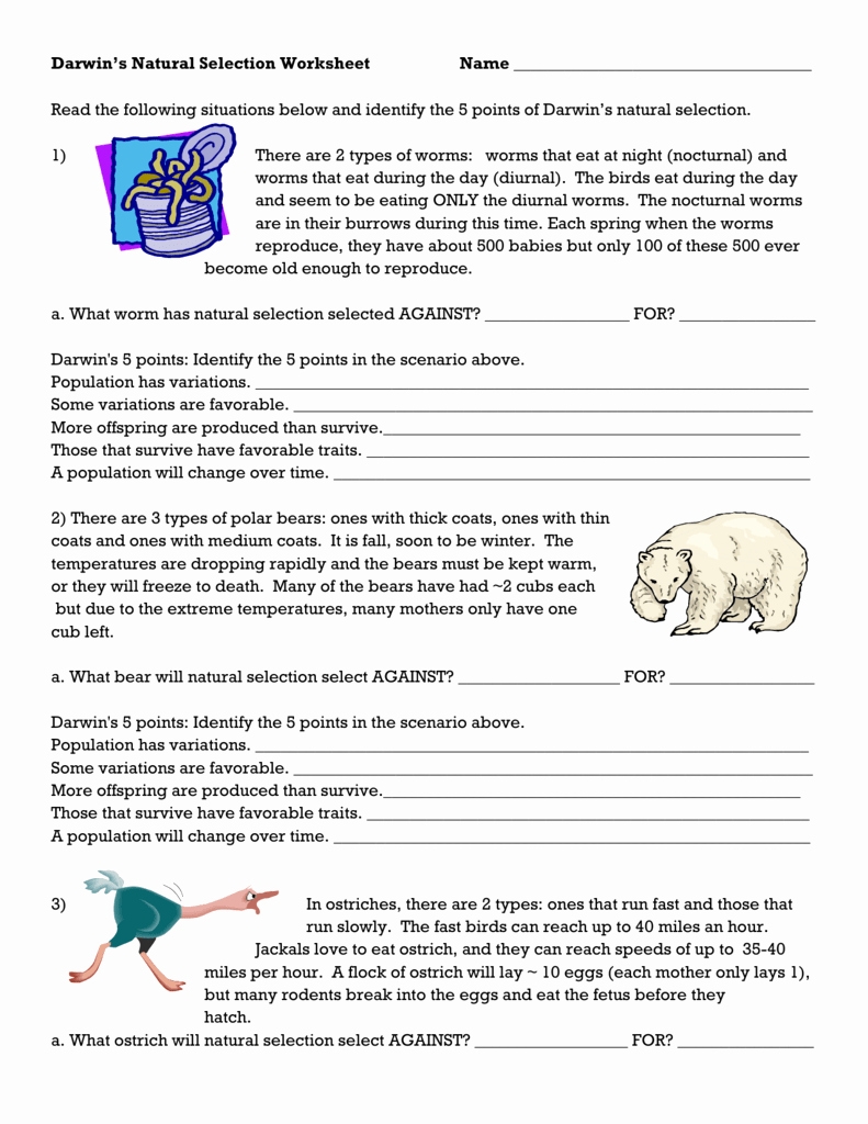50 Darwin Natural Selection Worksheet | Chessmuseum Template Library with regard to Darwin Natural Selection Worksheet