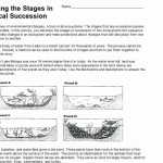 50 Darwin'S Natural Selection Worksheet Answers | Chessmuseum Template with regard to Darwin'S Natural Selection Worksheet Answers