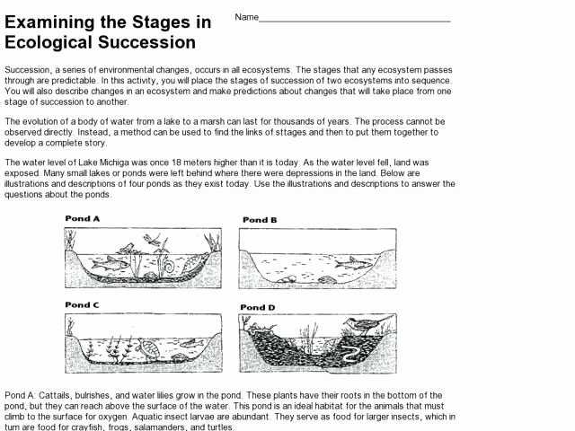 50 Darwin'S Natural Selection Worksheet Answers | Chessmuseum Template with regard to Darwin'S Natural Selection Worksheet Answers
