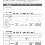 50 Dna Mutation Practice Worksheet Answers | Chessmuseum Template Library With Regard To Dna Mutations Practice Worksheet Answer
