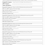 50 Dna Mutations Practice Worksheet Answer | Chessmuseum Template Library Pertaining To Dna Mutations Practice Worksheet