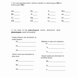50 Dna Mutations Practice Worksheet Answer | Chessmuseum Template Library Pertaining To Dna Mutations Practice Worksheet
