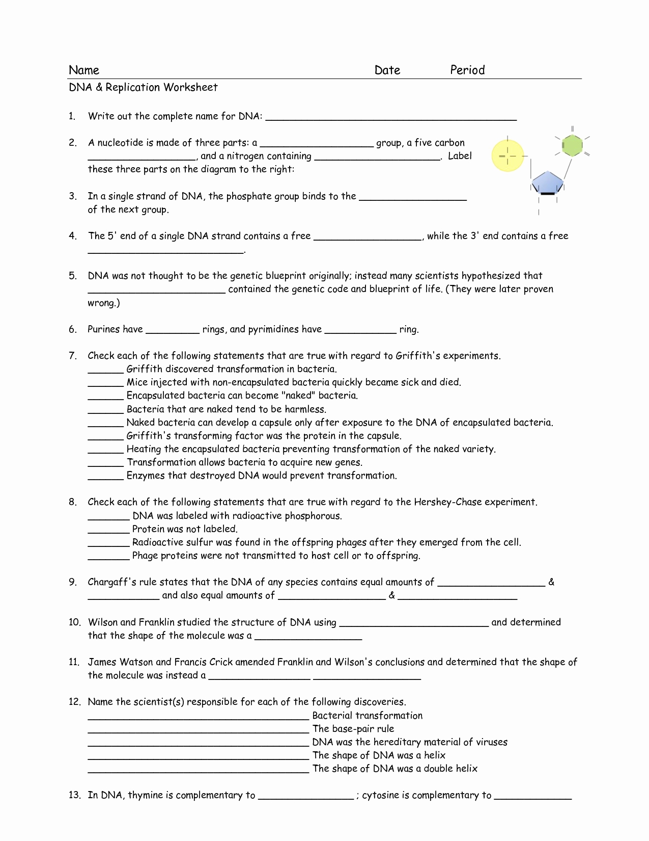 50 Dna Replication Worksheet Key | Chessmuseum Template Library within Dna Replication Worksheet Key